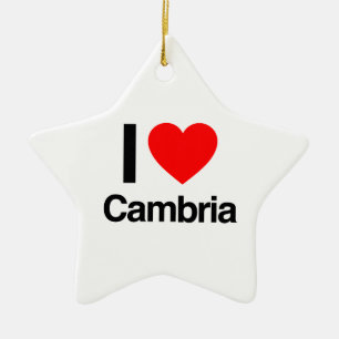 Ornement Étoile En Céramique j'aime cambria