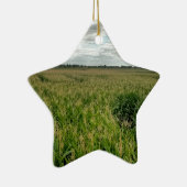 Ornement Étoile En Céramique Labyrinthe de maïs (Droite)