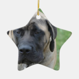 Ornement Étoile En Céramique Mastiff anglais mignon