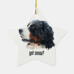 Ornement Étoile En Céramique neige obtenue ? Chien de montagne de Bernese