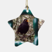 Ornement Étoile En Céramique Oiseau noir derrière les barreaux, Animal, Oiseaux (Droite)