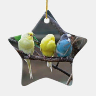 Ornement Étoile En Céramique Oiseaux colorés lumineux de perroquets de