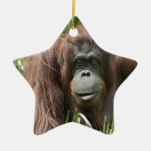 Ornement Étoile En Céramique Orangutan