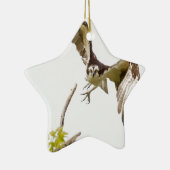 Ornement Étoile En Céramique Osprey Coming (Droite)