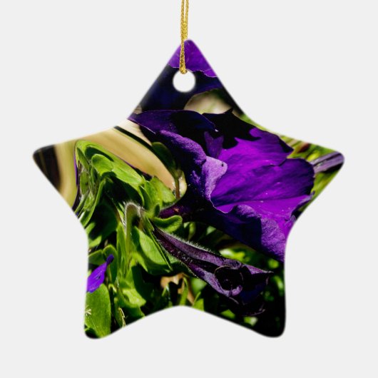 Ornement Étoile En Céramique Panique violette (Devant)