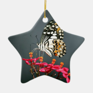 Ornement Étoile En Céramique Papillon noir et jaune blanc sur Fleurs roses