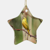 Ornement Étoile En Céramique Paruline jaune chante (Droite)