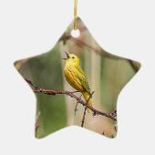 Ornement Étoile En Céramique Paruline jaune chante (Devant)