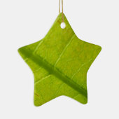 Ornement Étoile En Céramique Photographie de la nature botanique de la feuille (Droite)