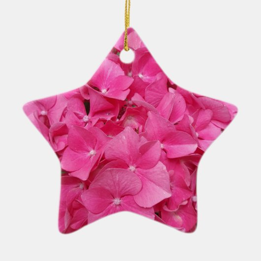 Ornement Étoile En Céramique Photographie florale rose Nature (Devant)