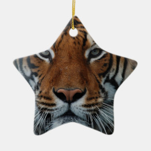 Ornement Étoile En Céramique Rayures de chat tigre Brouillard de la jungle Anim