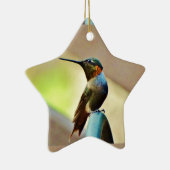 Ornement Étoile En Céramique Ruby perché et petit colibri vert (Droite)