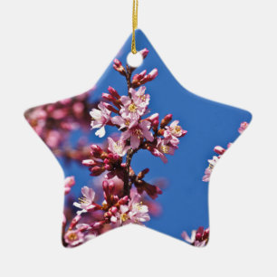 Ornement Étoile En Céramique Sakura Cerry Blossoms Touché Bleu