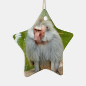 Ornement Étoile En Céramique Singe gris, Ape Macaque, Nature, Animaux (Droite)
