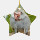 Ornement Étoile En Céramique Singe gris, Ape Macaque, Nature, Animaux (Devant)