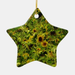 Ornement Étoile En Céramique Terrain de tournesol
