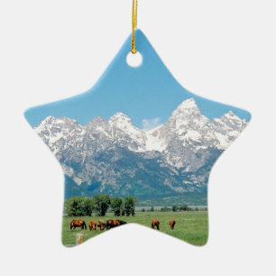 Ornement Étoile En Céramique Tetons et chevaux
