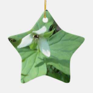Ornement Étoile En Céramique trillium blanc avec verdure