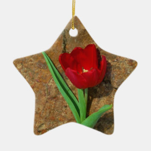 Ornement Étoile En Céramique Tulipe rouge et jaune