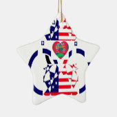 Ornement Étoile En Céramique USA Hope Beau drapeau national Extraordinaire Desi (Droite)