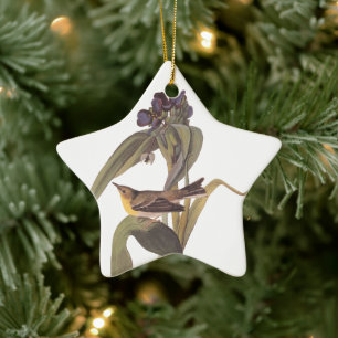 Ornement Étoile En Céramique Vireo d'Audubon Vigor avec Fleur violette