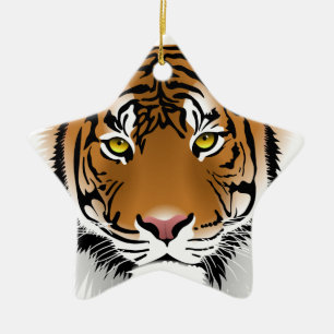 Ornement Étoile En Céramique Yeux de Tigre