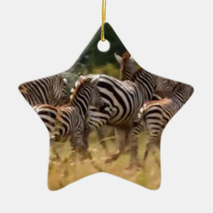 Ornement Étoile En Céramique Zèbres en mouvement : Un voyage de mille milles