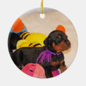 Ornement féerique (Dos)