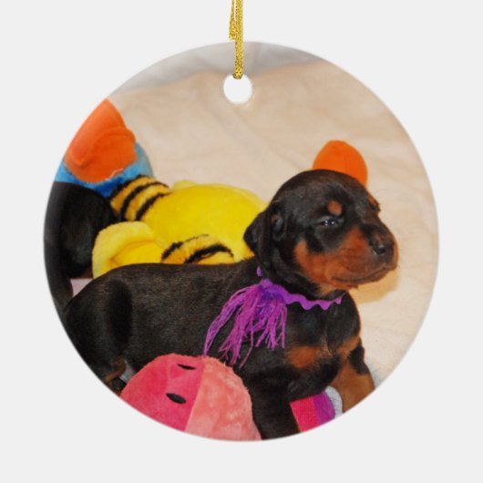 Ornement féerique (Dos)