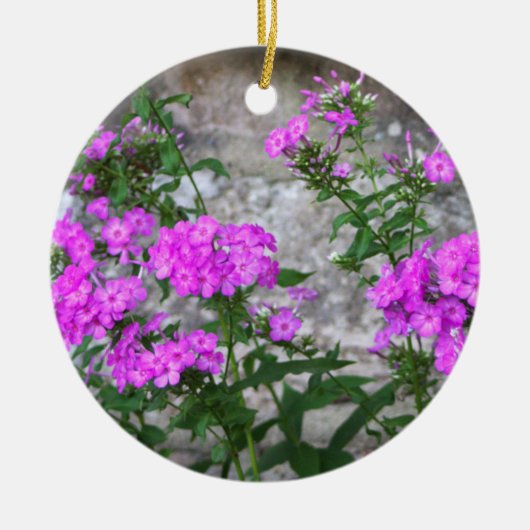 Ornement Fleurs de Lilas (Devant)