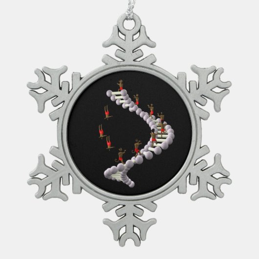 Ornement Flocon De Neige ADN : L'évolution de Darwin (Devant)