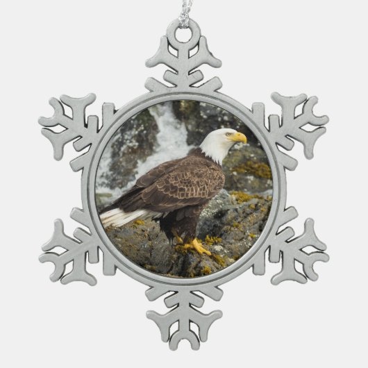 Ornement Flocon De Neige Aigle à tête blanche (Devant)