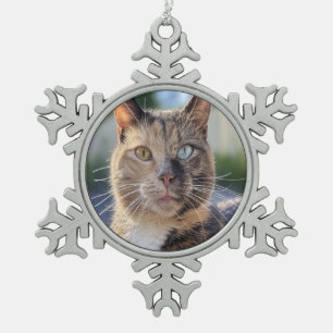 Ornement Flocon De Neige Ajouter une Personnaliser photo de chat