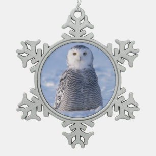 Ornement Flocon De Neige Alaska Arctic Snowy Owl Winter Scene Design Photo