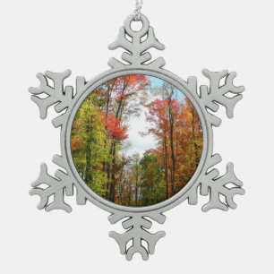 Ornement Flocon De Neige Arbres d'automne et ciel bleu Photographie de la n