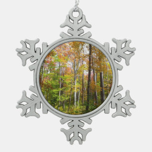 Ornement Flocon De Neige Automne Forêt I Automne Paysage Photographie