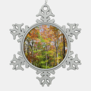 Ornement Flocon De Neige Automne Forêt II Automne Paysage Photographie
