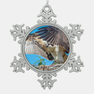 Ornement Flocon De Neige Balbuzard juvénile dans le nid