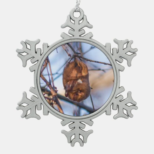 Ornement Flocon De Neige Batte rouge orientale (Devant)