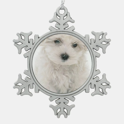 Ornement Flocon De Neige Bichon Frise (Devant)