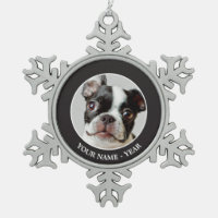 Boston Terrier