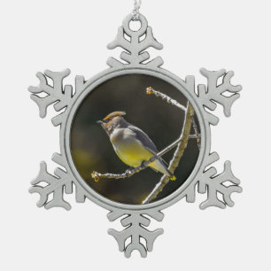 Ornement Flocon De Neige Cèdre cire Songbird Photo originale Oiseau sauvage