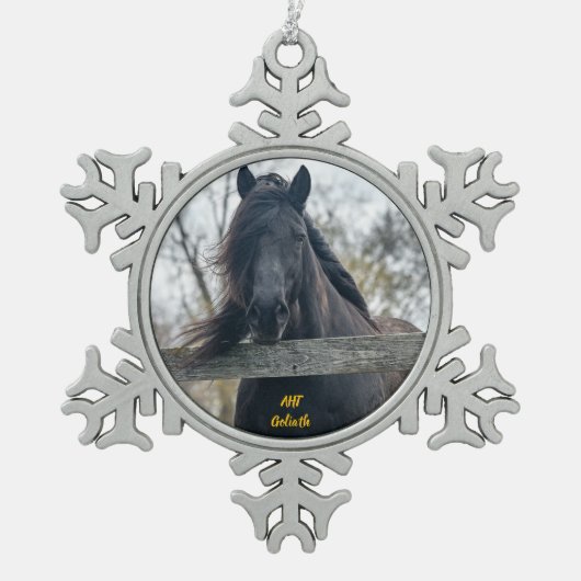 Ornement Flocon De Neige Cheval AHT Secourt Goliath (Devant)