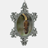 Ornement Flocon De Neige Closeup ball pythonCarte postale (Gauche)