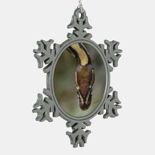 Ornement Flocon De Neige Closeup ball pythonCarte postale (Gauche)