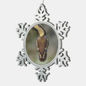 Ornement Flocon De Neige Closeup ball pythonCarte postale (Vue impression)