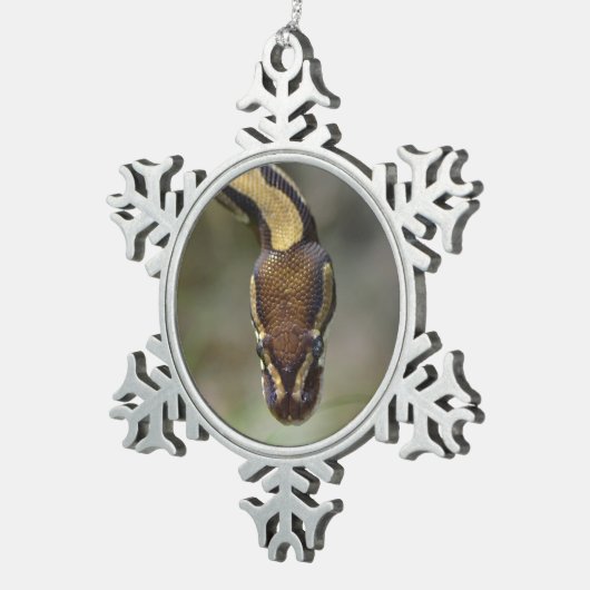 Ornement Flocon De Neige Closeup ball pythonCarte postale (Vue impression)