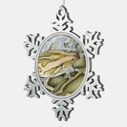 Ornement Flocon De Neige Closeup de python indien (Vue impression)