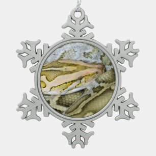 Ornement Flocon De Neige Closeup de python indien