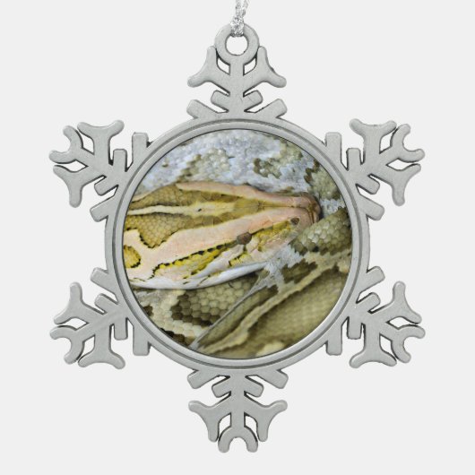 Ornement Flocon De Neige Closeup de python indien (Devant)